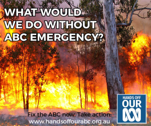 bushfire meme